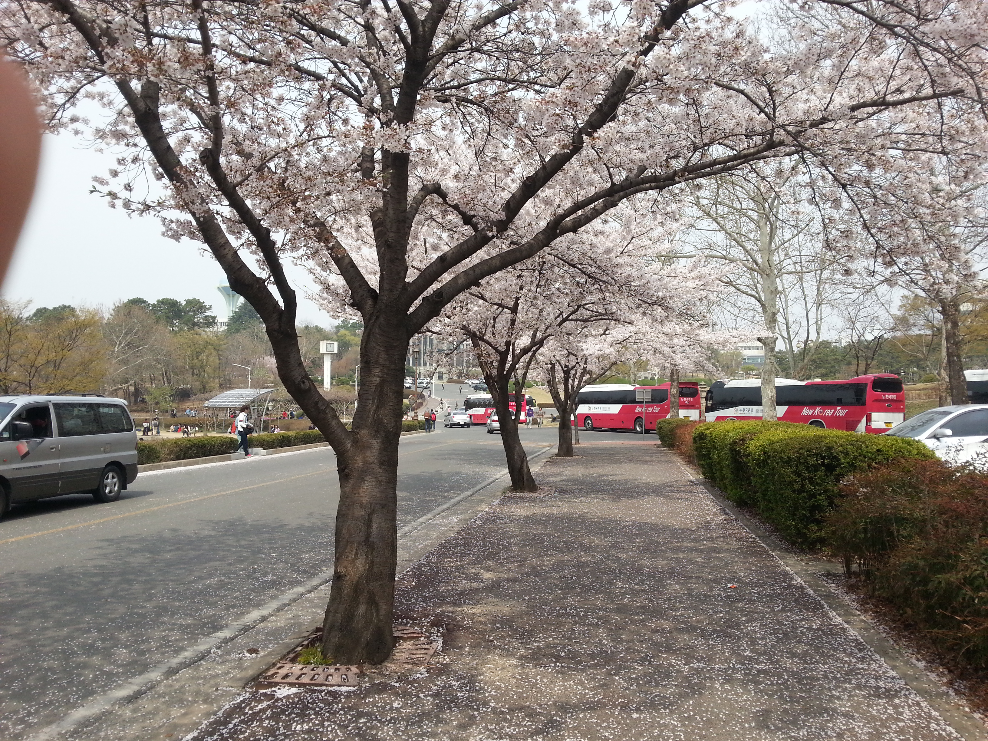 20130404_120308.jpg