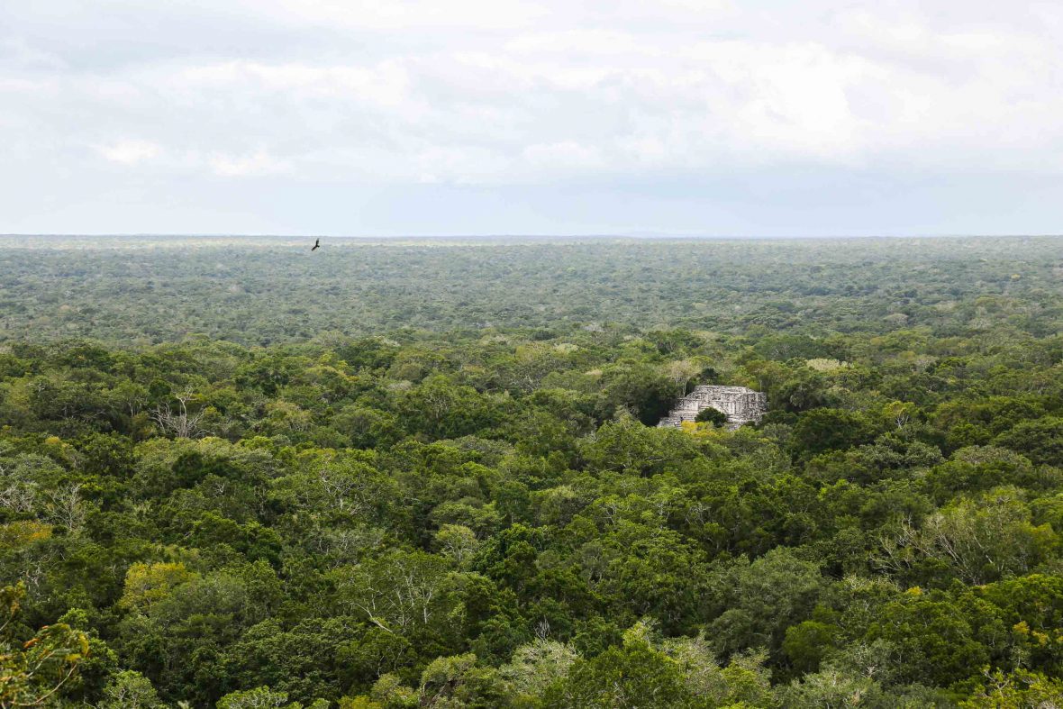 Mayan-marvels-in-the-Yucatan-Calakmul-09-Photo-credit-Graeme-Green-1180x787.jpg