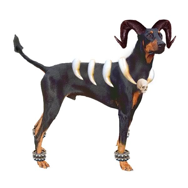 houndoom-real-pokemon.jpg