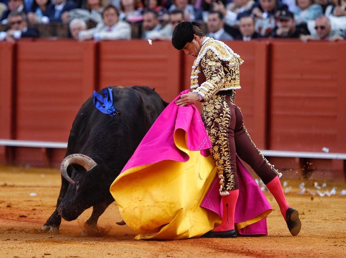 bullfighting-in-seville.jpeg